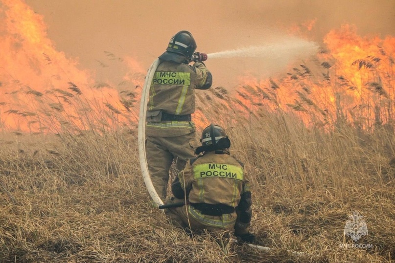 С 10 апреля в Курганской области начался пожароопасный сезон.