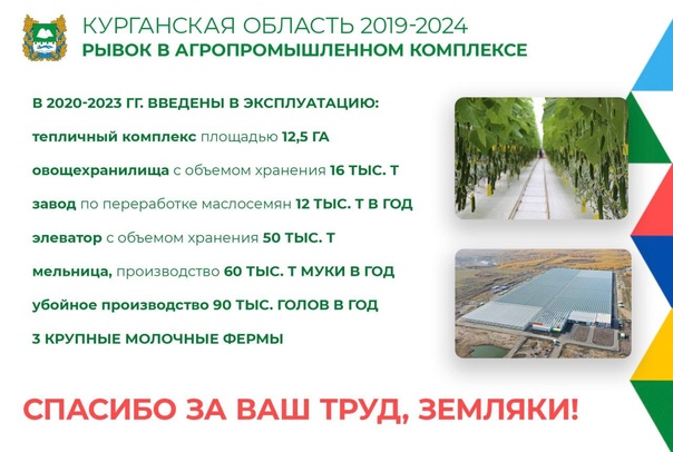 Курганская область 2019-2024.